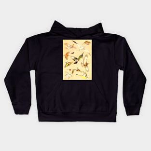 Vintage Flying Birds 1922 ver.2 Kids Hoodie